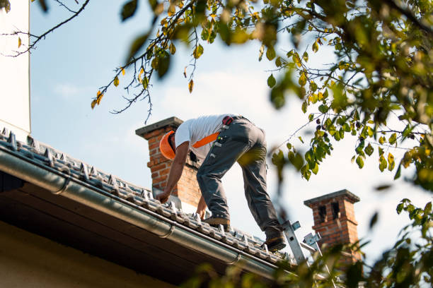 Best Metal Roofing Contractor  in The College Of New Jersey, NJ